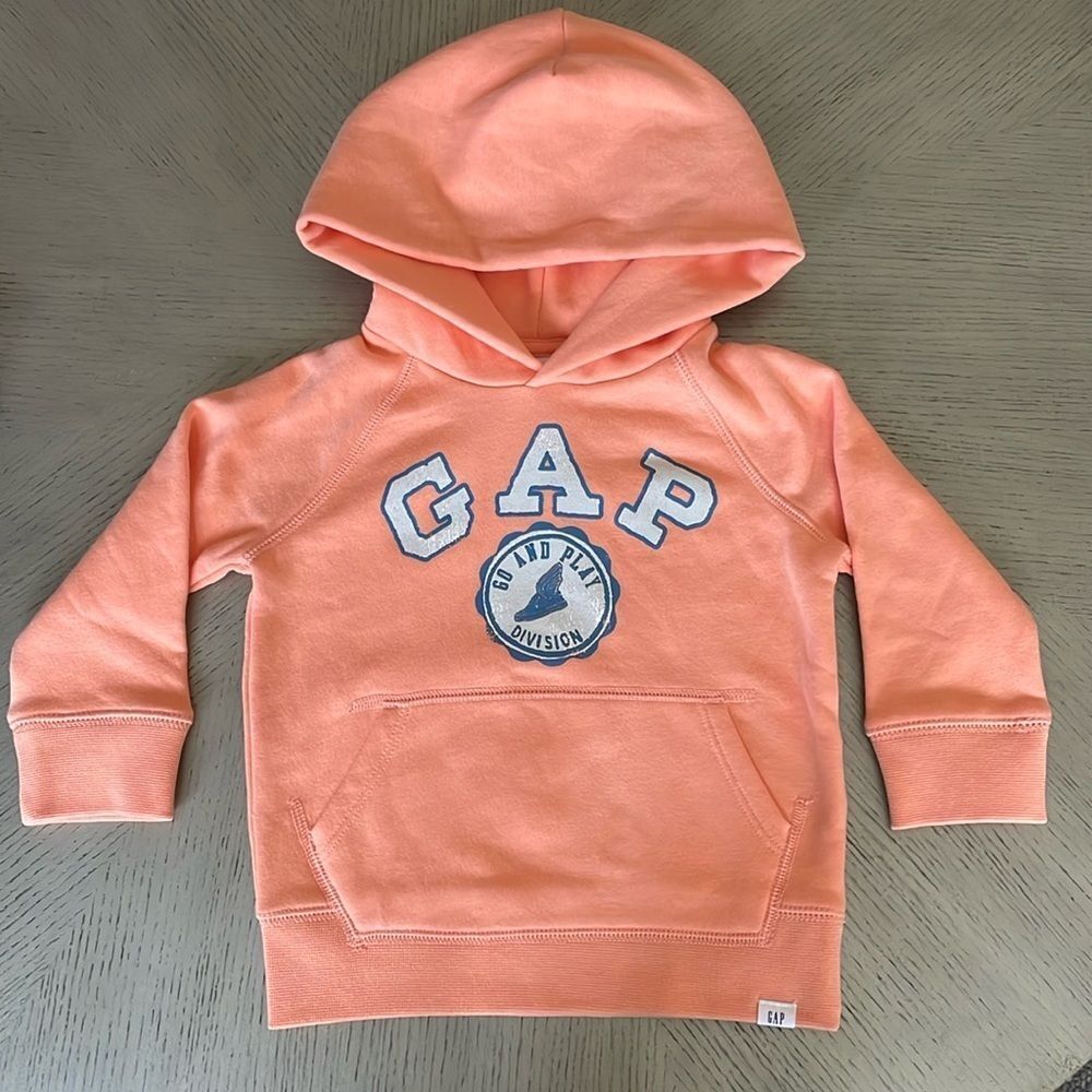 Baby Gap Hoddie size 2 years